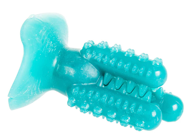 Šunims skirtas kramtukas–šepetėlis Kaktusas