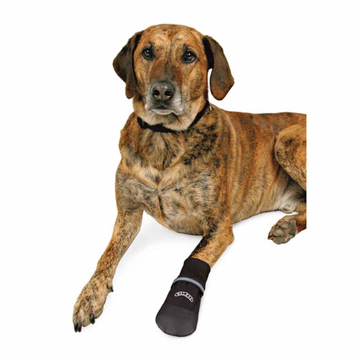 V4HCBBCC5072EDAC55B1C0467535D7C7BFER7440491P4