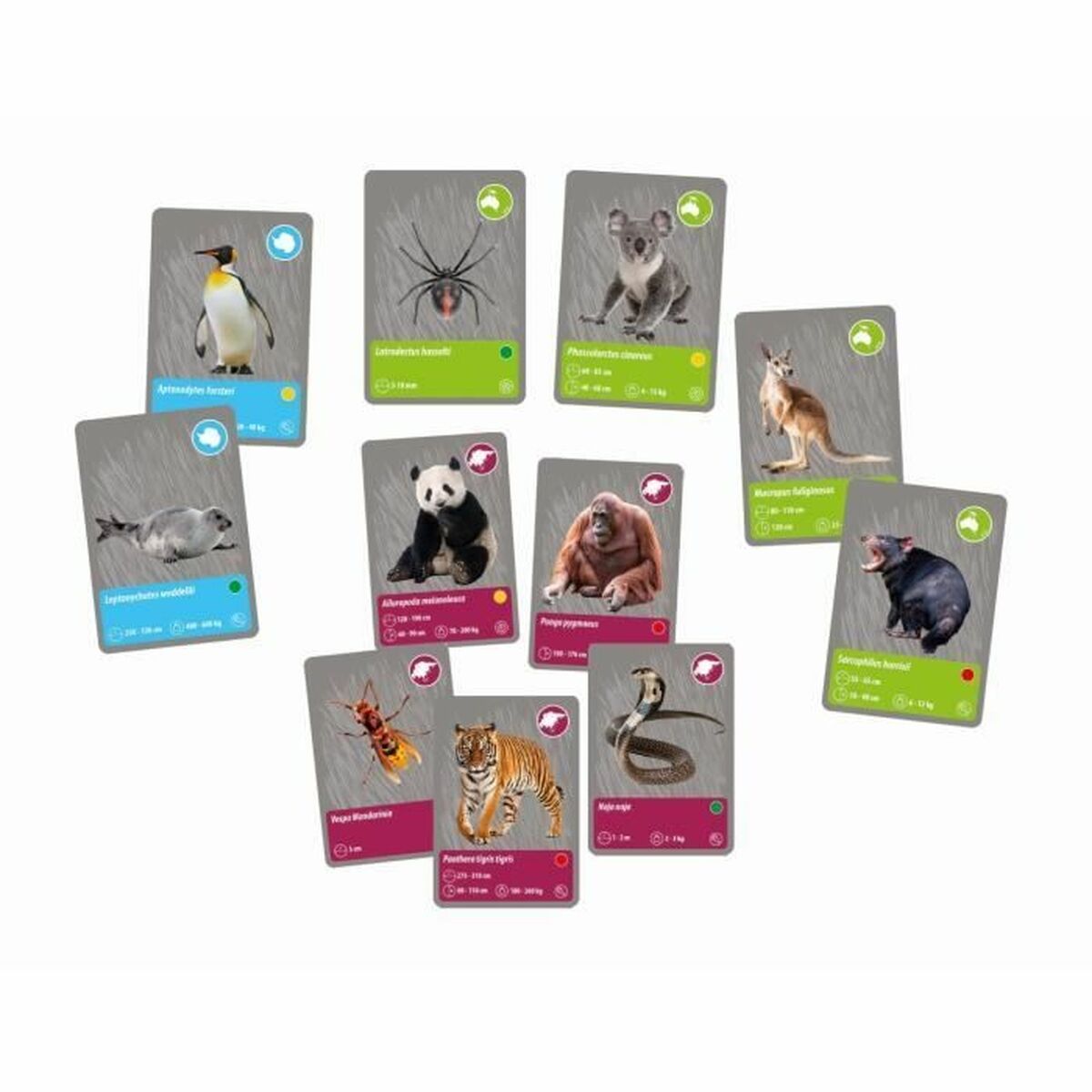 V4H001AB66629E864FF0EAF81919CF94E6FR5288393P6