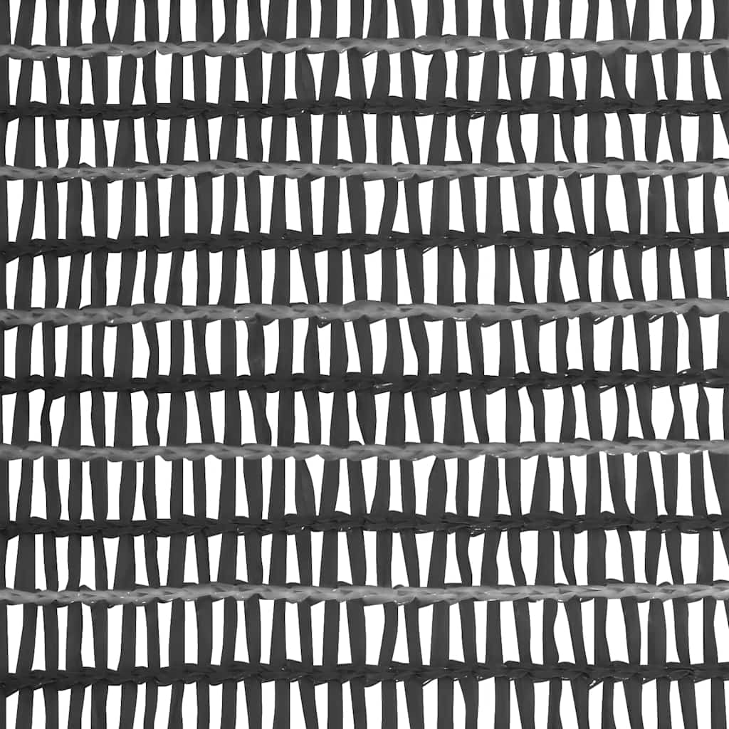 Privatumo suteikiantis tinklelis, antracito, 1x50m, HDPE