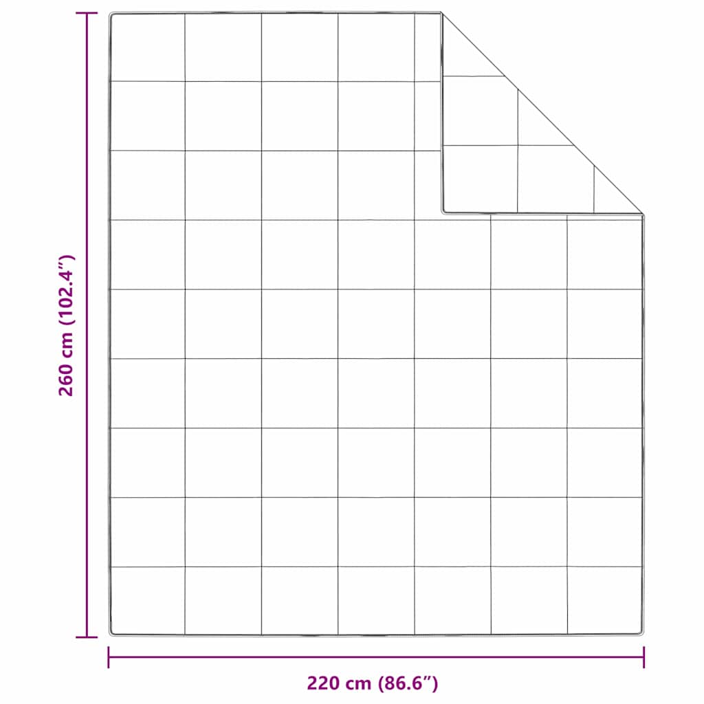 Žiemos antklodė Balta 260 x 220 cm Plunksna