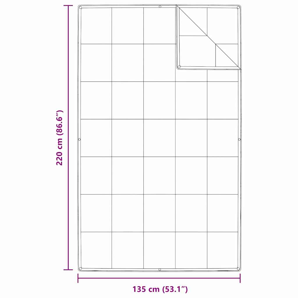 2-in-1 Antklodė Balta 135 x 220 cm Plunksna