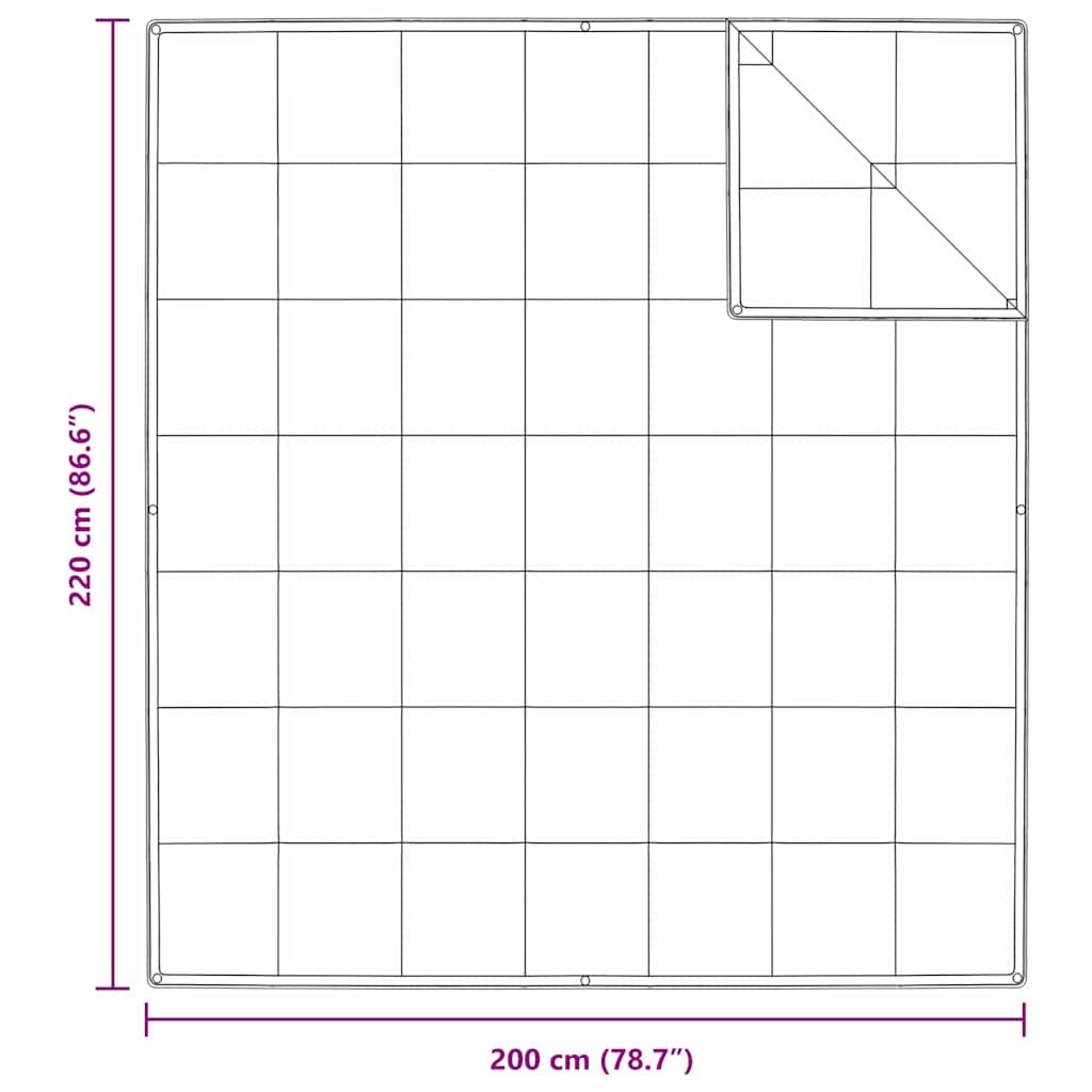 2-in-1 Antklodė Balta 200 x 220 cm Plunksna