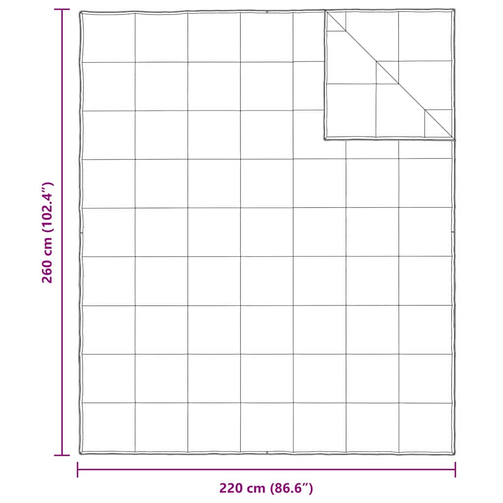 2-in-1 Antklodė Balta 260 x 220 cm Plunksna