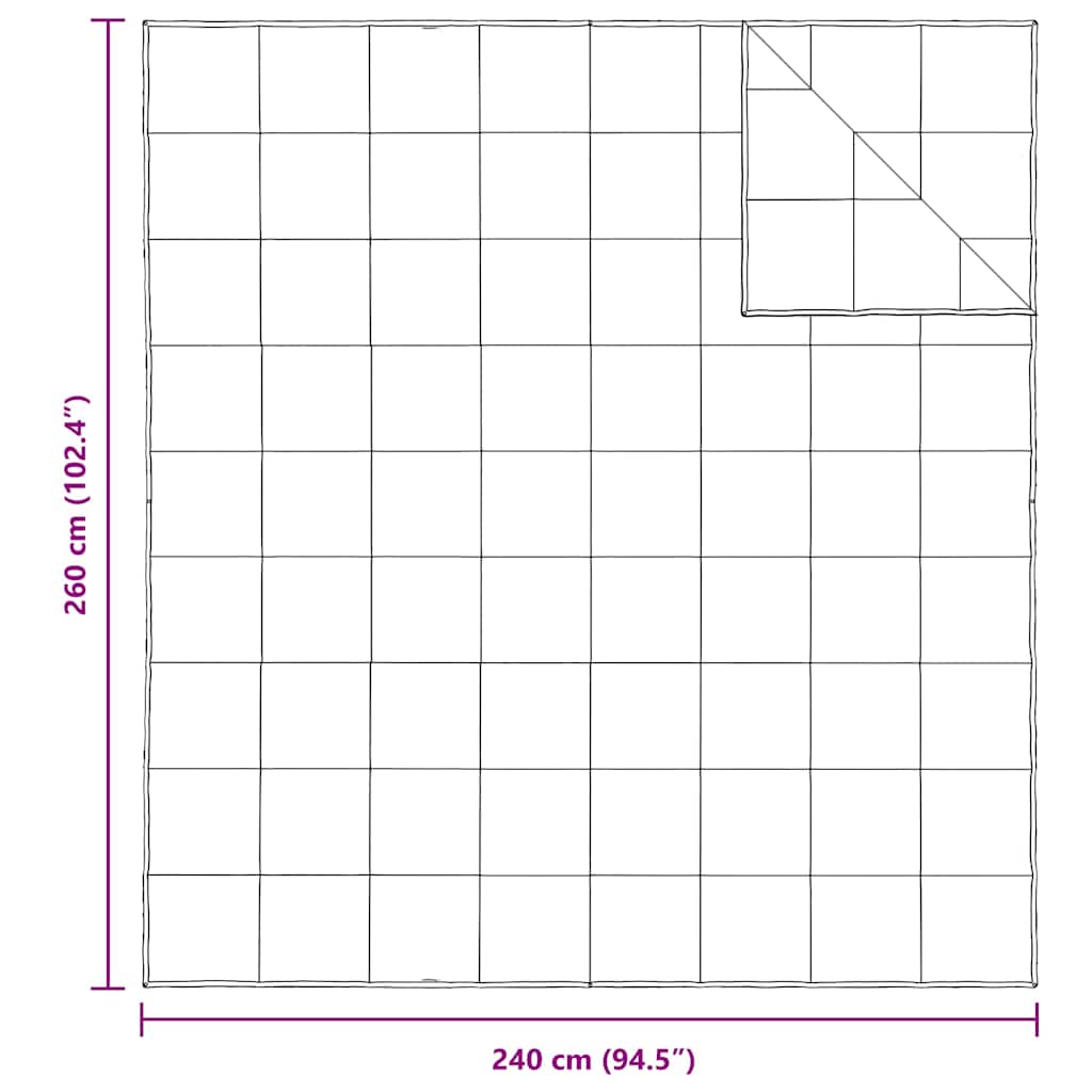 2-in-1 Antklodė Balta 240 x 260 cm Plunksna