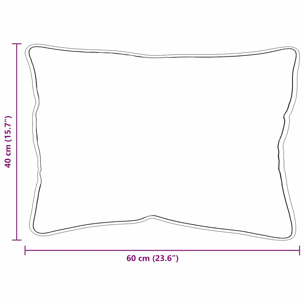 Pagalvė su pagalve 2 pcs Balta 61 x 41 x 20 cm Poliesteris