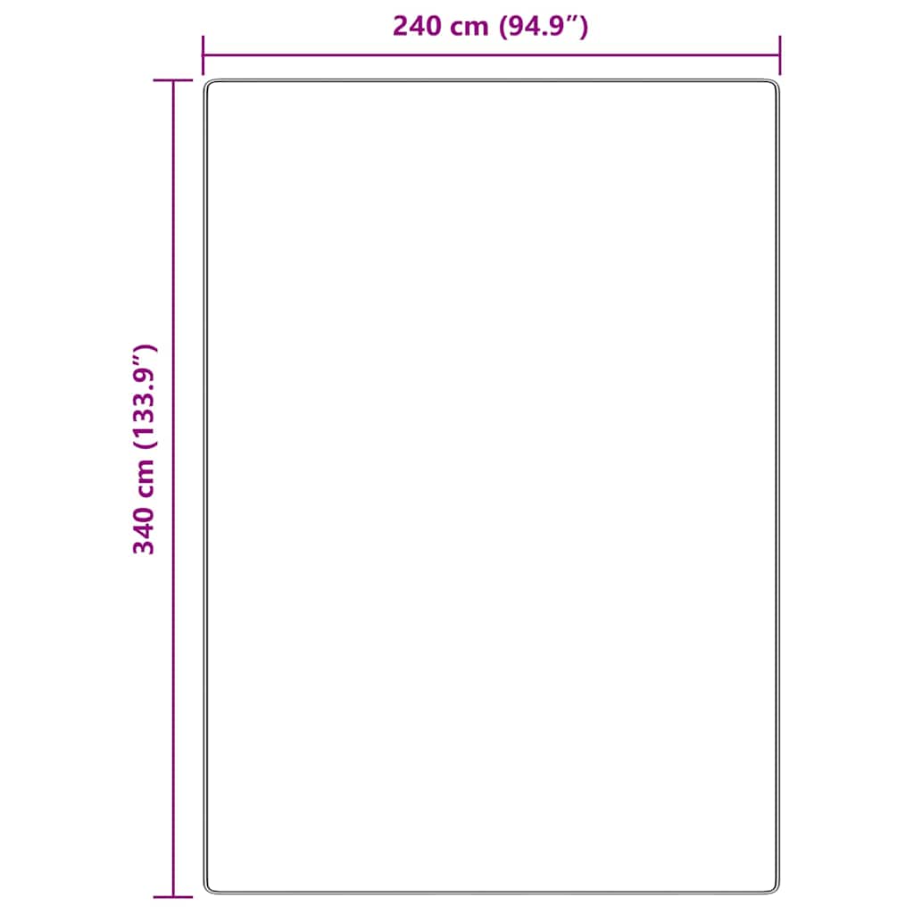 Neslystantis plaukuotas kilimas Ruda 240 x 340 cm PP