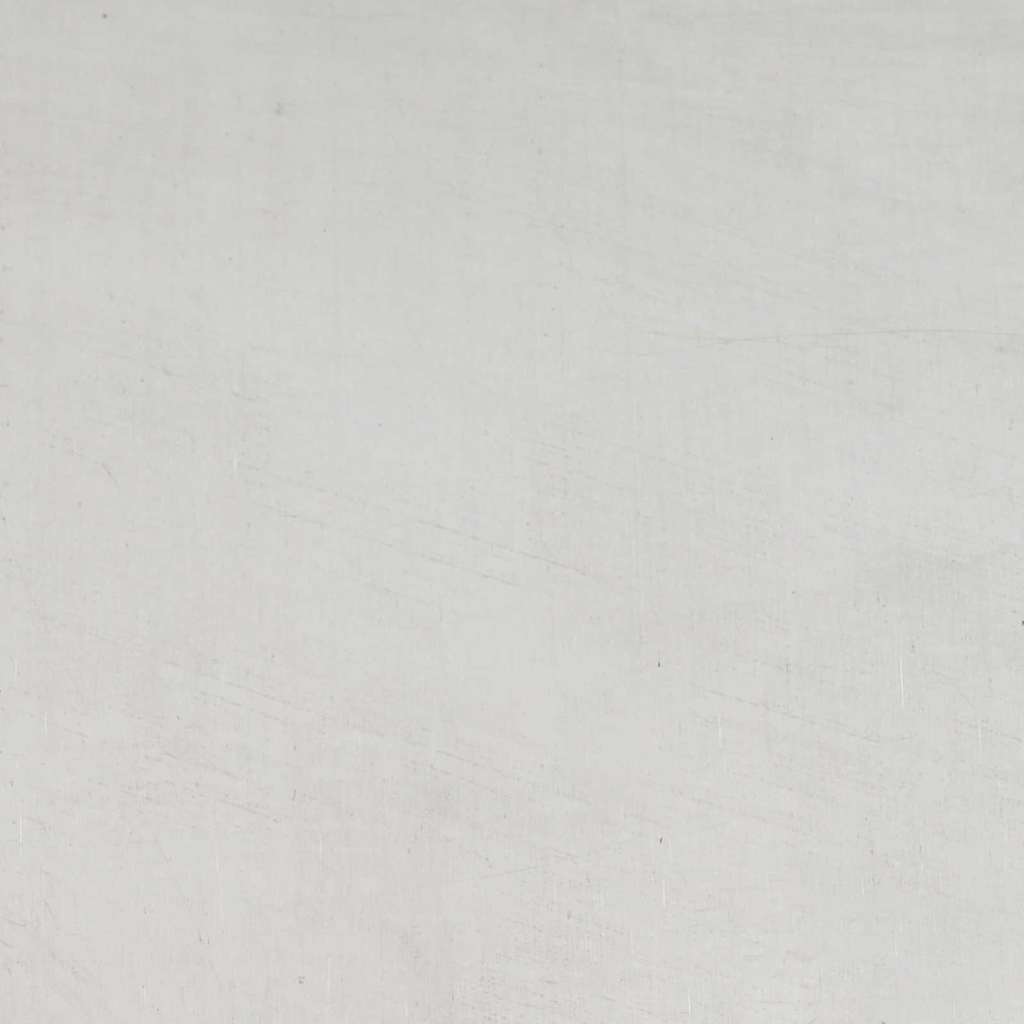 Sodo vazonas Sidabro 40 x 40 x 15 cm Nerūdijantis Plienas