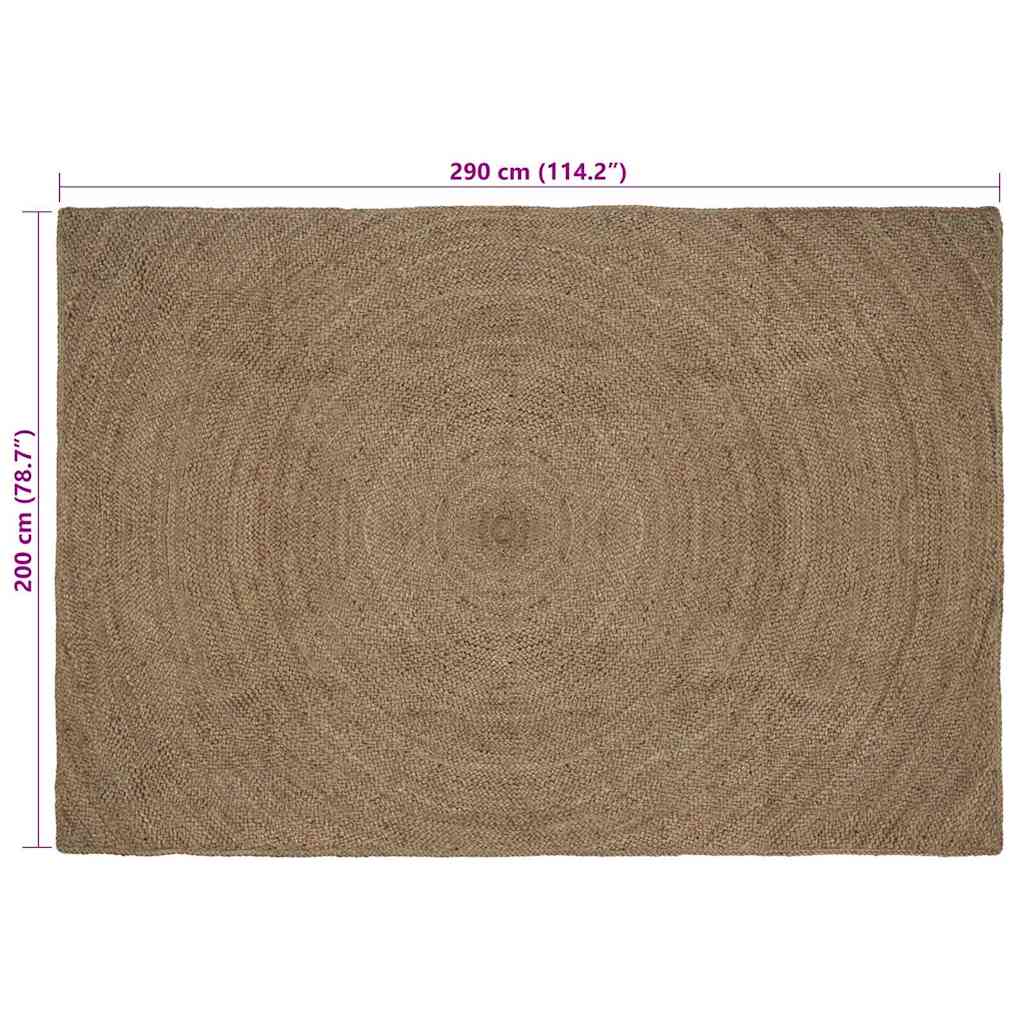 Zoninės kiliminės dangos Stačiakampio Pilka 200 x 290 cm