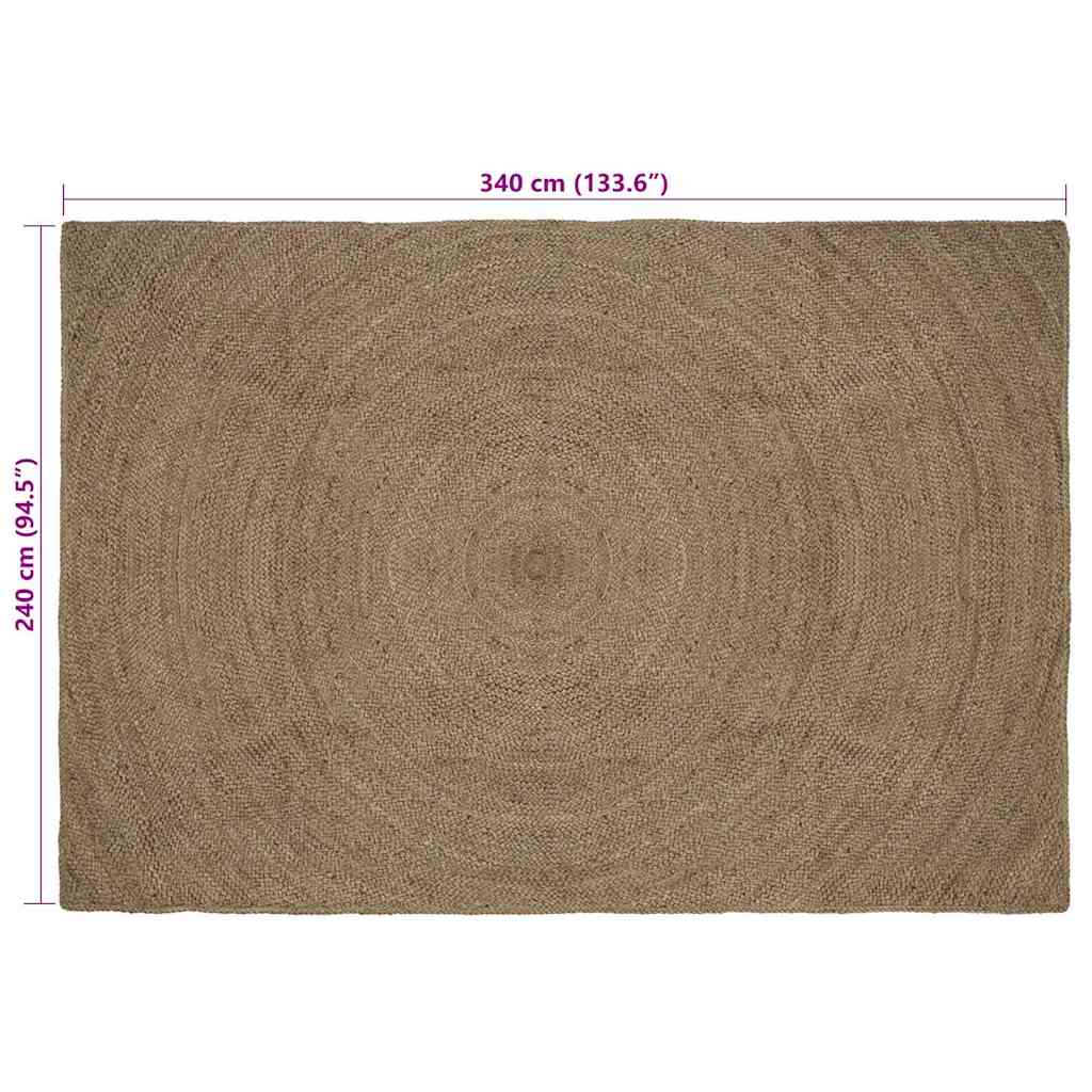 Zoninės kiliminės dangos Stačiakampio Pilka 240 x 340 cm