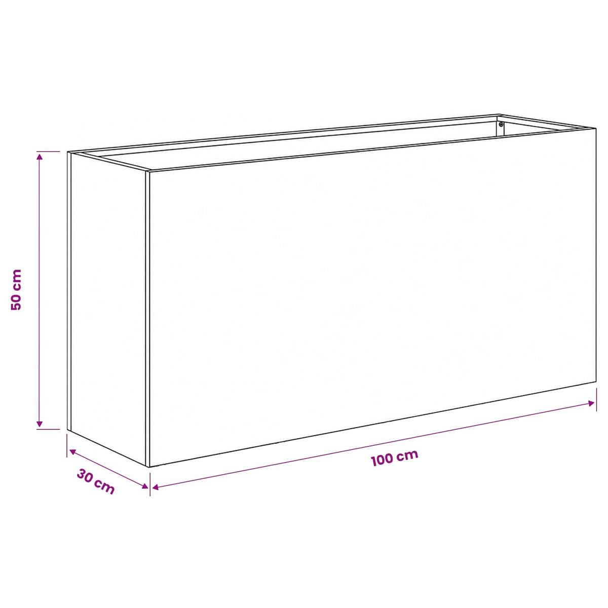 Sodo vazonas 2 vnt. Balta 100 x 30 x 50 cm