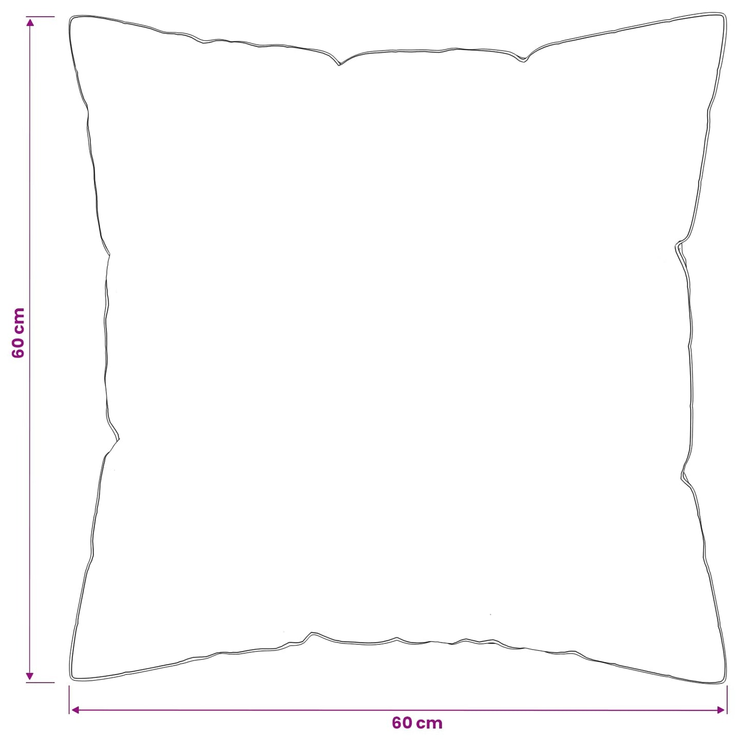 Pagalvė FULDA 2 pcs 60 x 60 cm 100% žąsų pūkai ir plunksnos