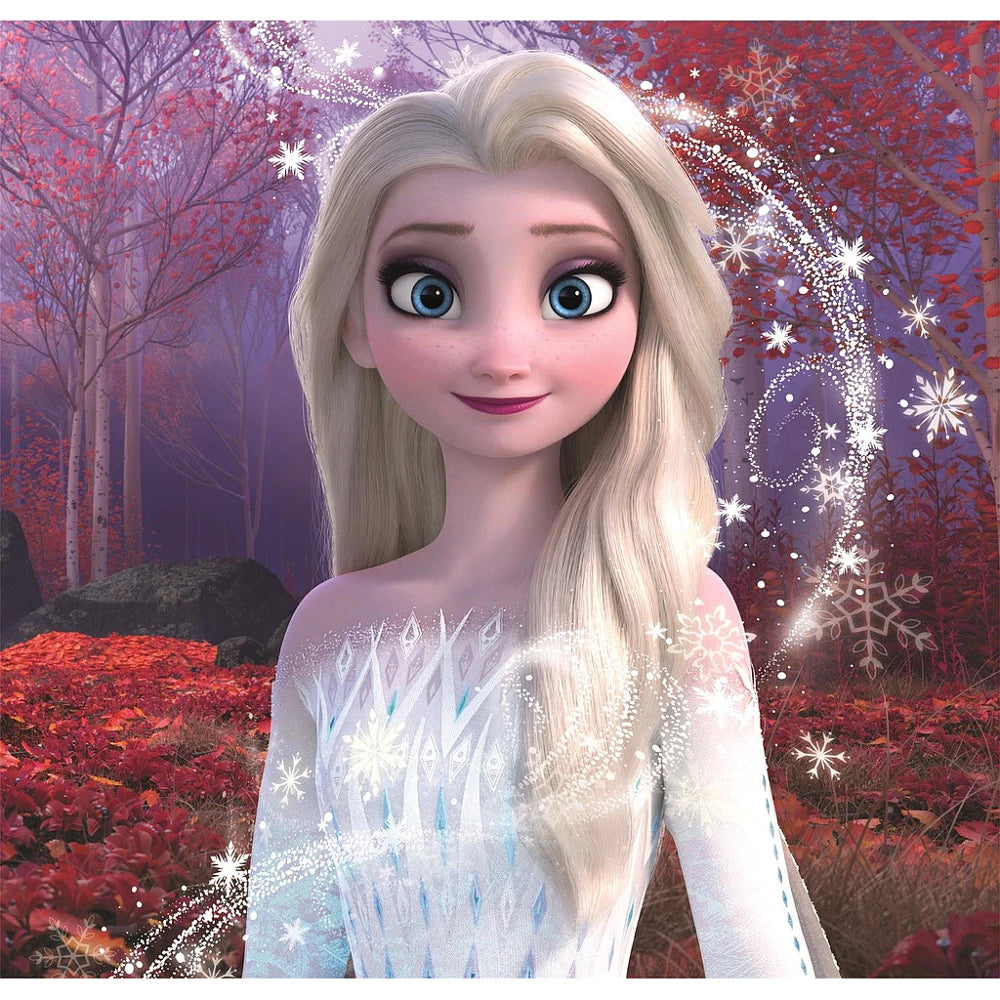Clementoni dėlionė Disney Frozen ICE MAGIC BOND (3x48 det.)