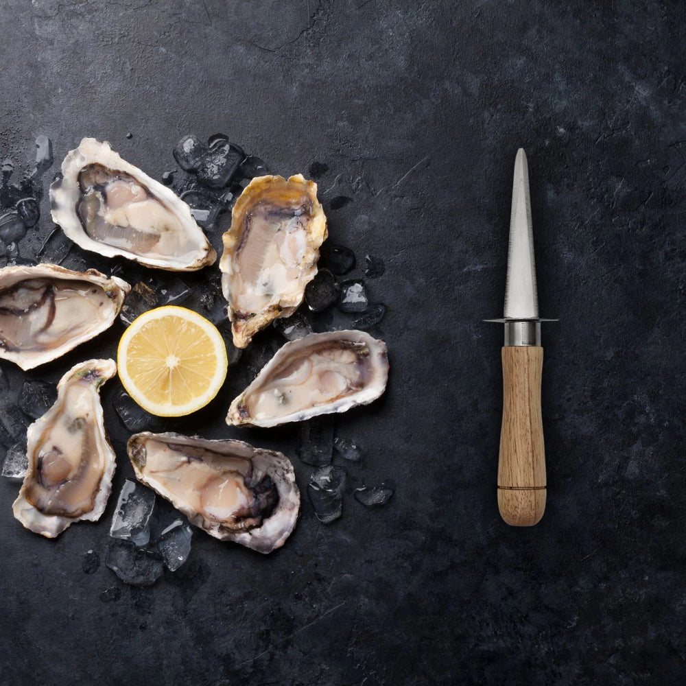 Austrių peilis su buko rankena