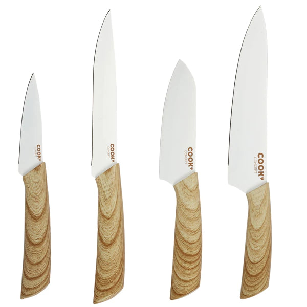 4 peilių rinkinys su magnetiniu laikikliu