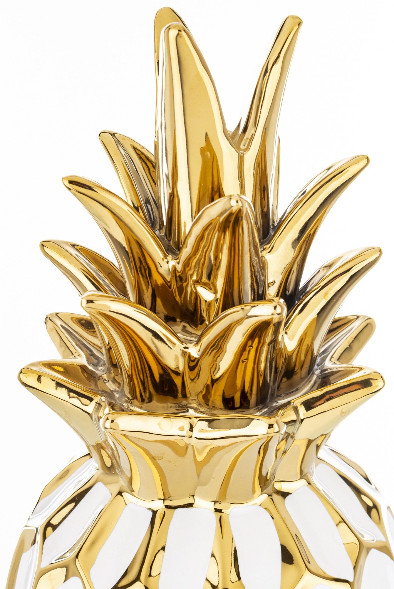 Dekoratyvinis ananasas (Balta)