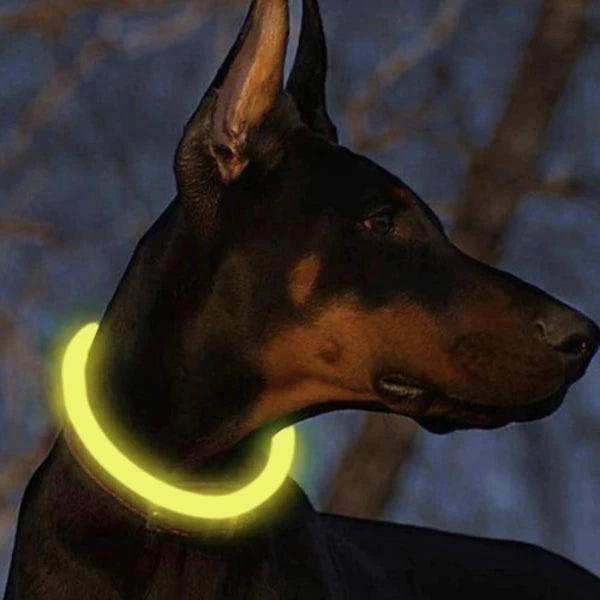 Šviečiantis LED antkaklis „Purlov“ su USB įkrovimu