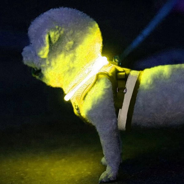 Šviečiantis LED antkaklis „Purlov“ su USB įkrovimu