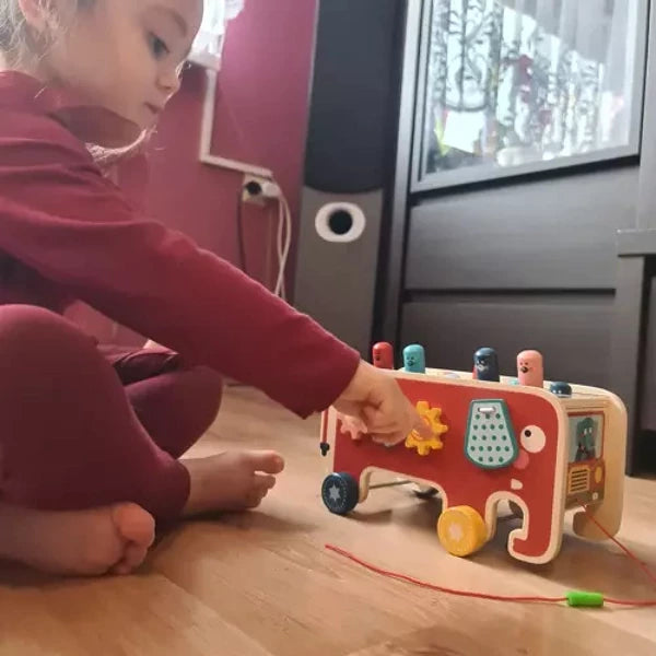 Edukacinis žaislas Medinis dramblys