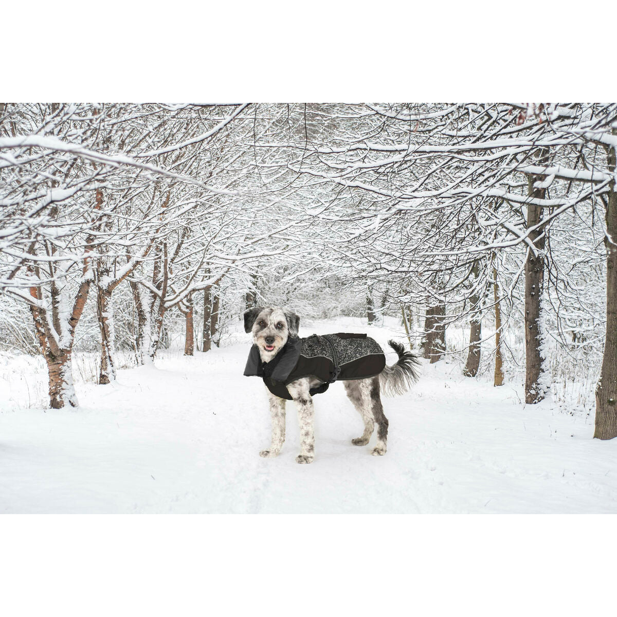 V5H40237E40E0D964D8FC77958D58B7F1CFR5332415P8