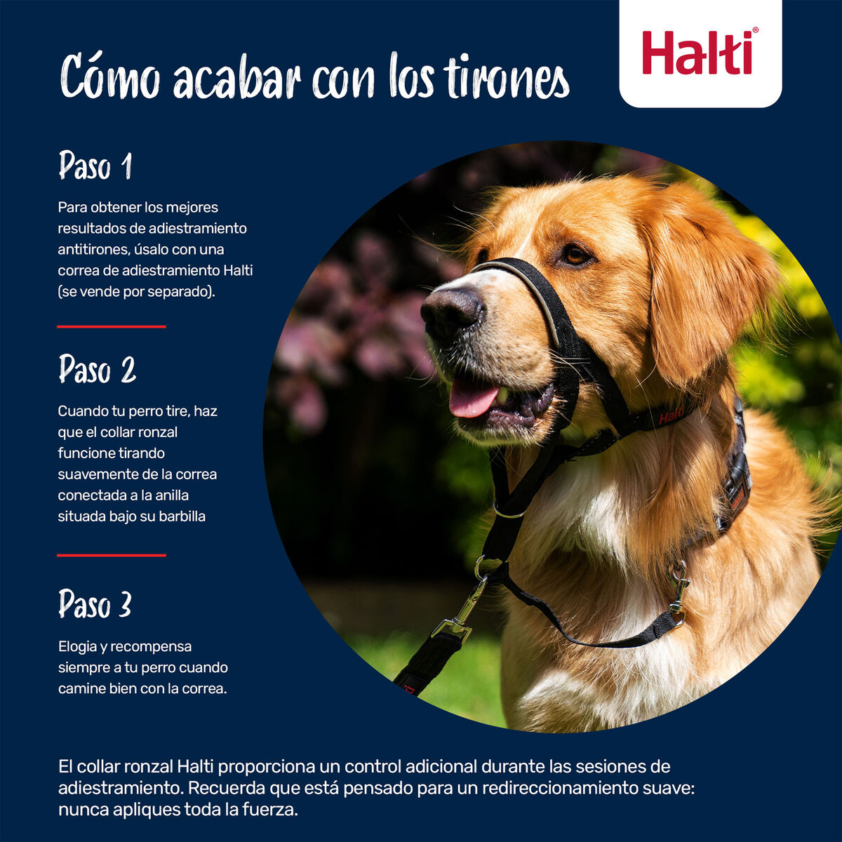 V3HBA278A0F9E4F499DE1EFF139C74B3766R7523894P7