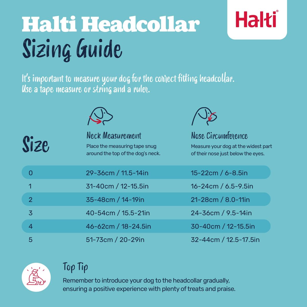 V4H5EBB12354F3B13BE6219CEAA80F54C26R7523842P5