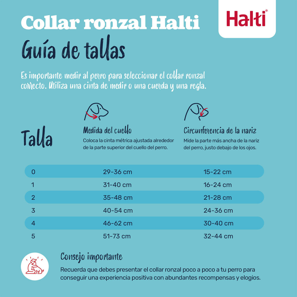 V4H0EA3DC7C3F0C844F675F5F0962278A30R7523843P6