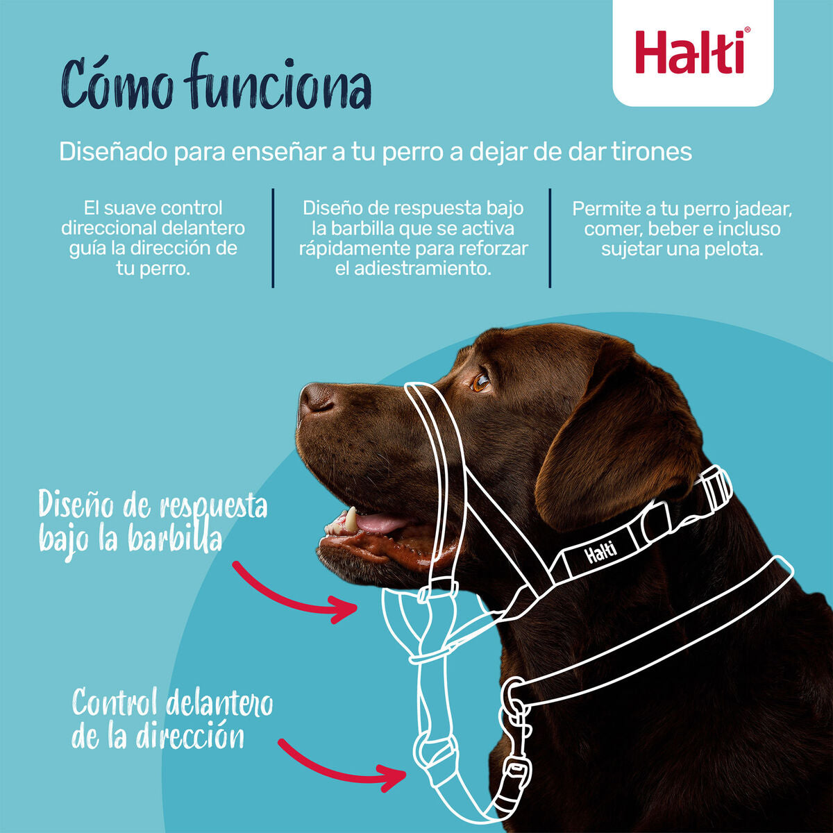 V4HB470F7BC8F74569C645944423496EAF6R7523845P8