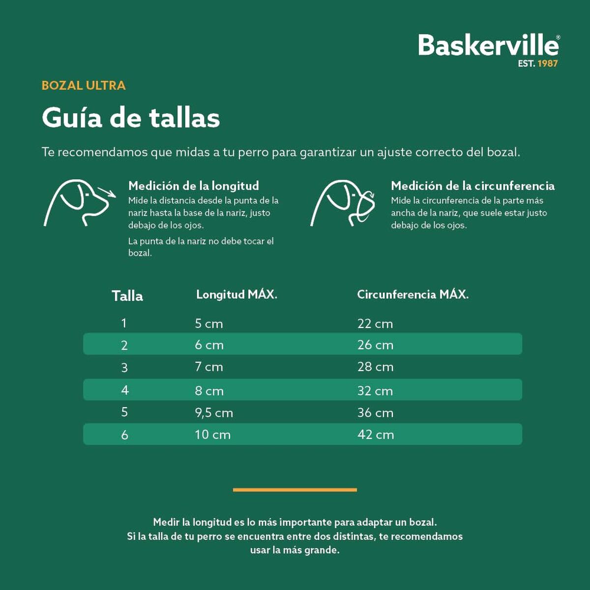 V5H1FC23208BB6219284408247D656B5D44R5327519P5