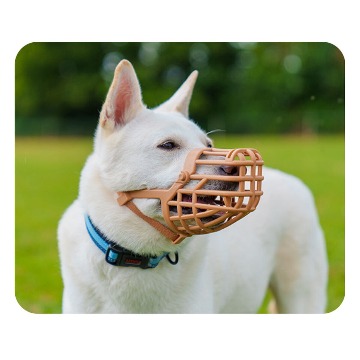 V5H0B97ABD29CAF12FE33D6E22C50F59A2CR5327514P3