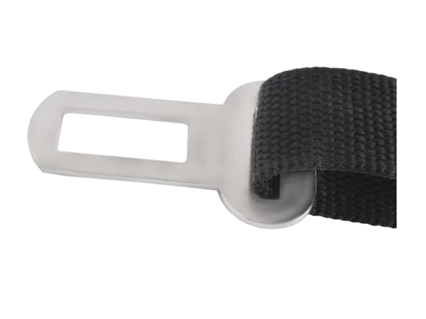 Automobilio saugos diržai šunims – automobilinis pavadėlis