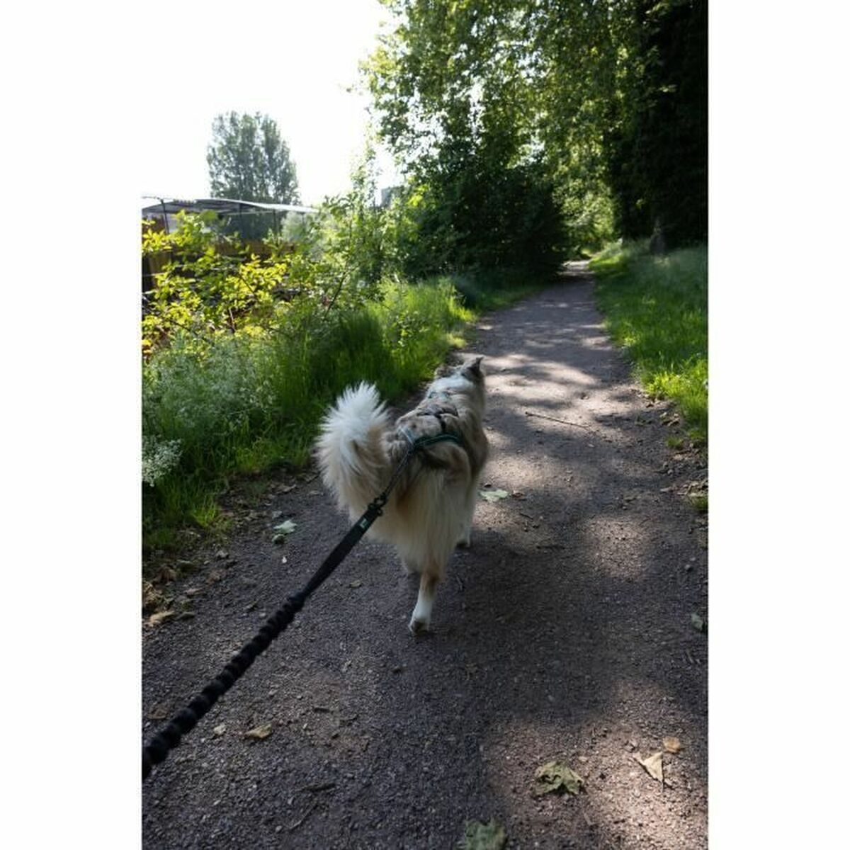 V4HF5D308BA6845217C1810528378B901B2R5776751P4