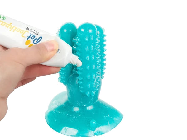 Šunims skirtas kramtukas–šepetėlis Kaktusas