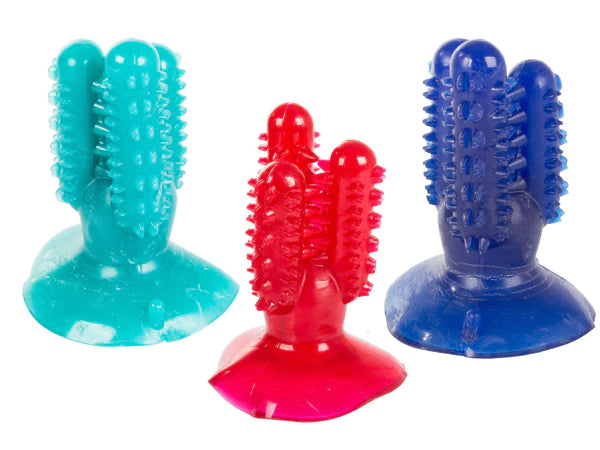 Šunims skirtas kramtukas–šepetėlis Kaktusas