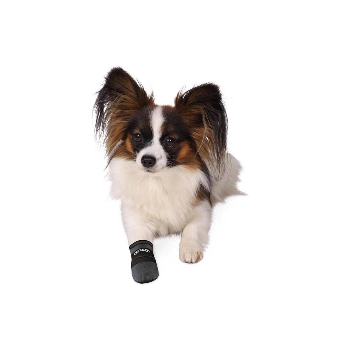 V4HEDD91DDA4B129ED0AF241263762AEE94R7440675P3