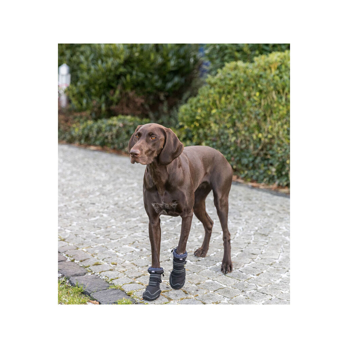 V4H1AF0A7A9876328EF2D3C70F5184F1410R7454756P7