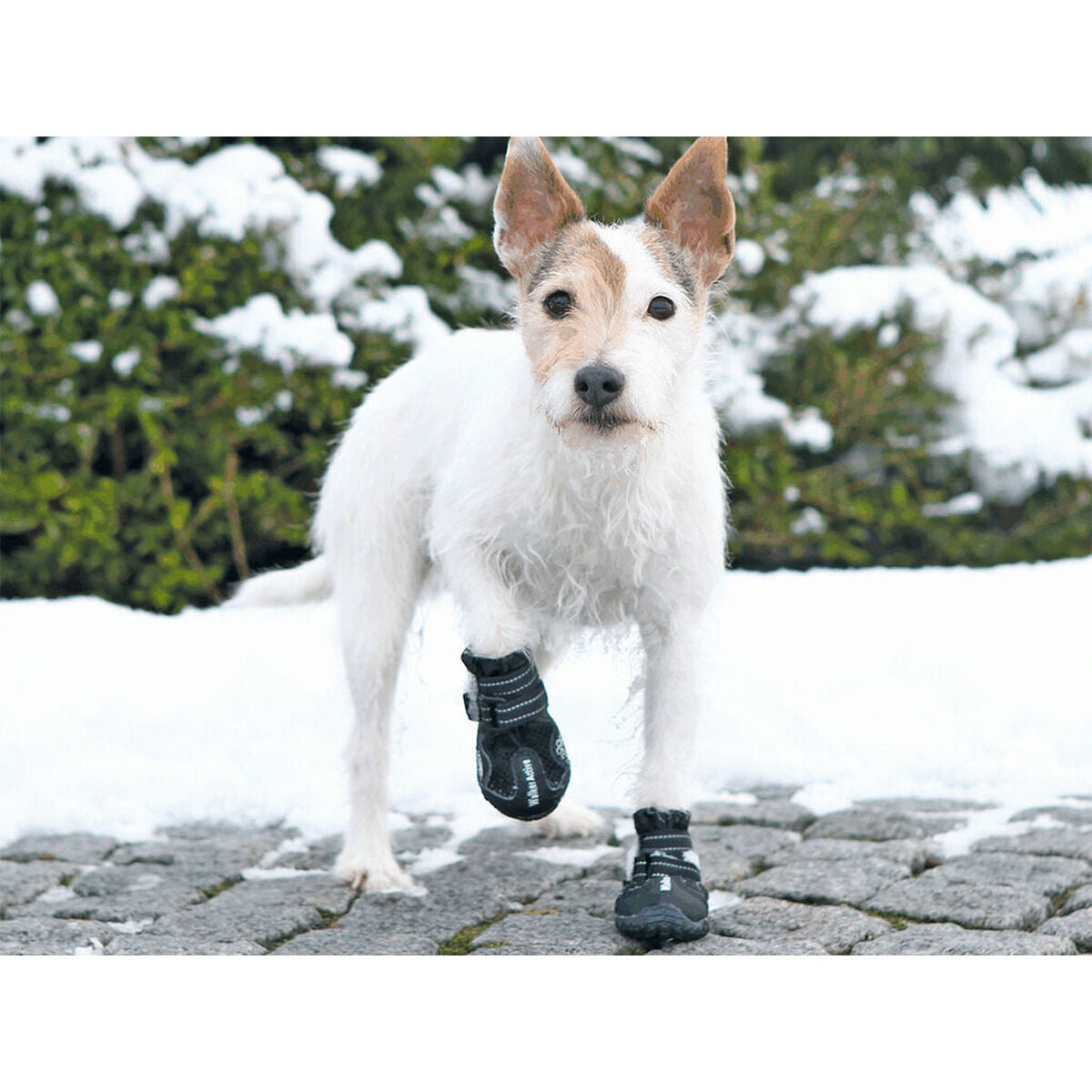 V4H3AE87FD91424D9DE777ECFA641F654E6R7439834P3