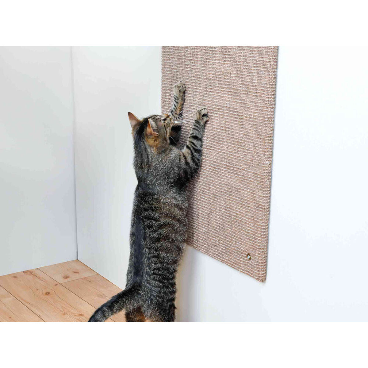 V7H49D17CAD99601D404529EDDB488A2DDBR7445226P2