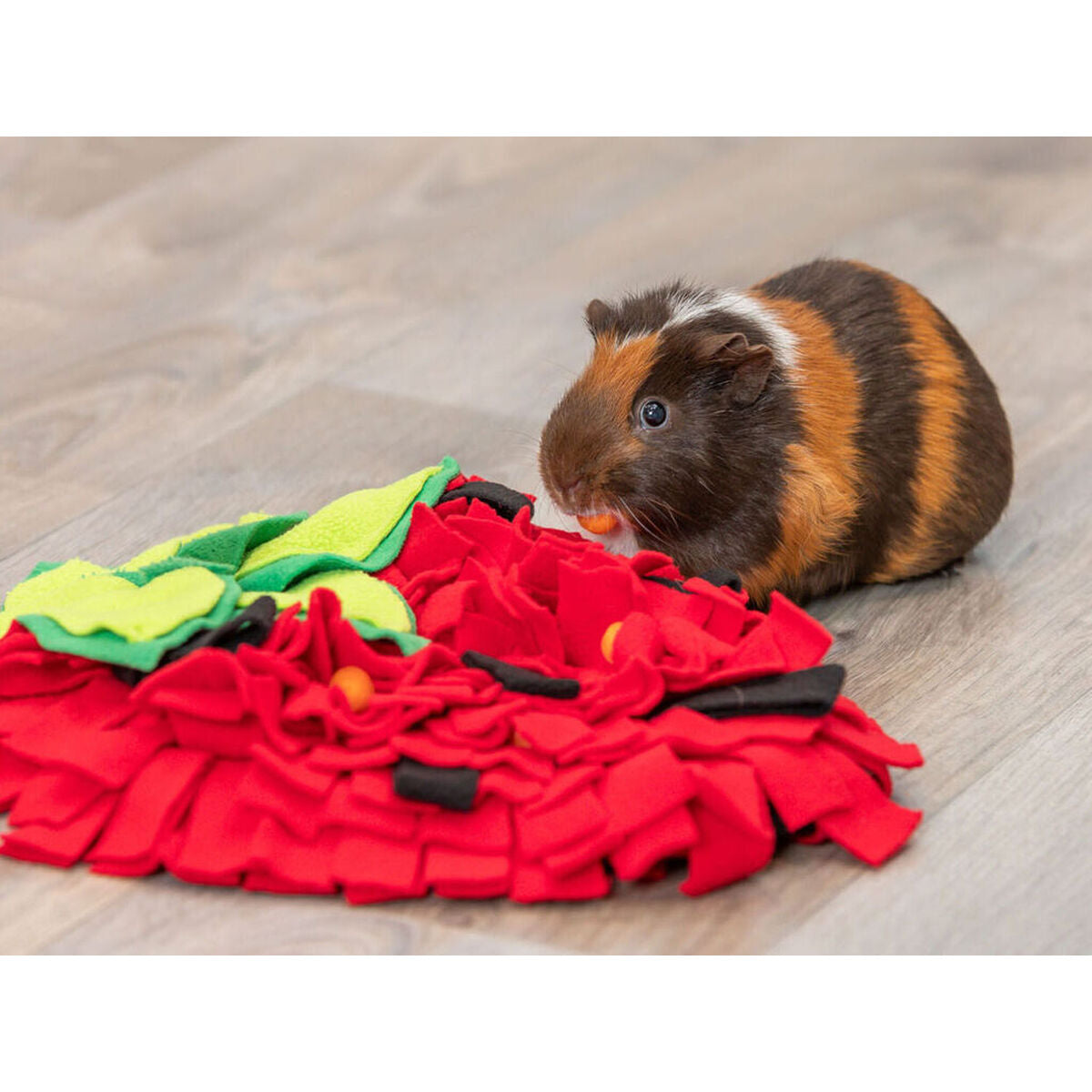 V5H04474D15ED64CFC5700C73BF0C2D8BAAR7459573P7