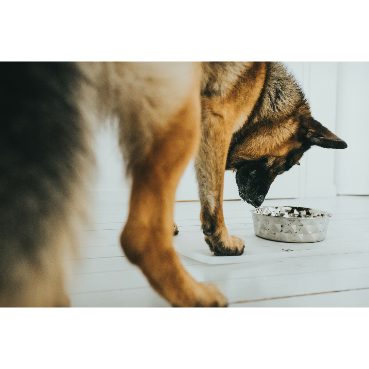 V6HB6BD46C6FD46C767F65CB9843BA411C0R4438067P5