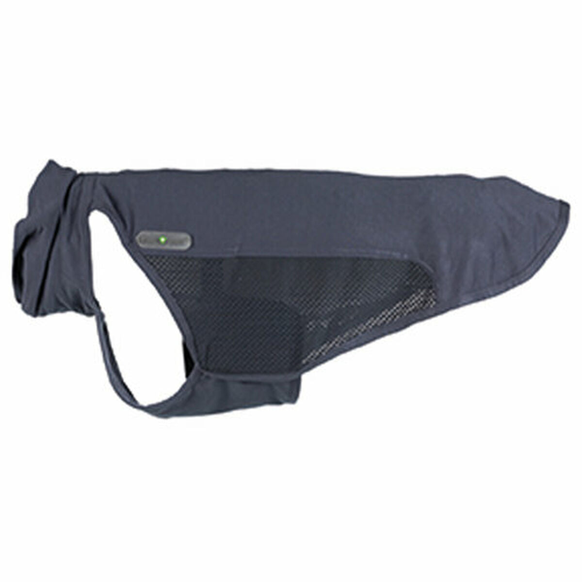 V4HE42D2ADD279B621E96E66B4CE9BCA16BR7462317P3