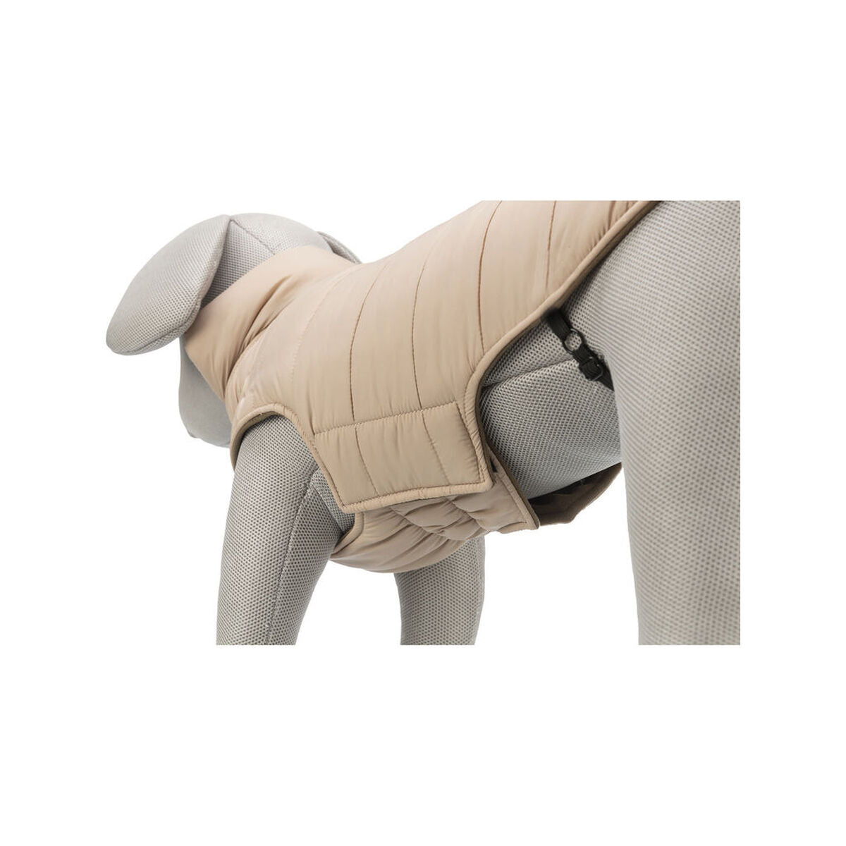 V6H86C2833EAA07564E2A977CDEA908C438R7461059P7