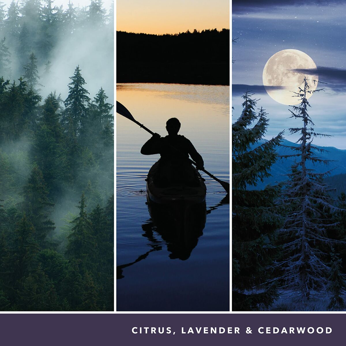 V4HE96DDD22F5BE123E4E1412749729BC9AR5778113P6