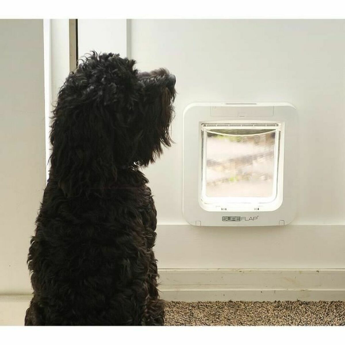 V9HB7994506F60AB8960A3AA4F8C9E77DC0R3745254P4