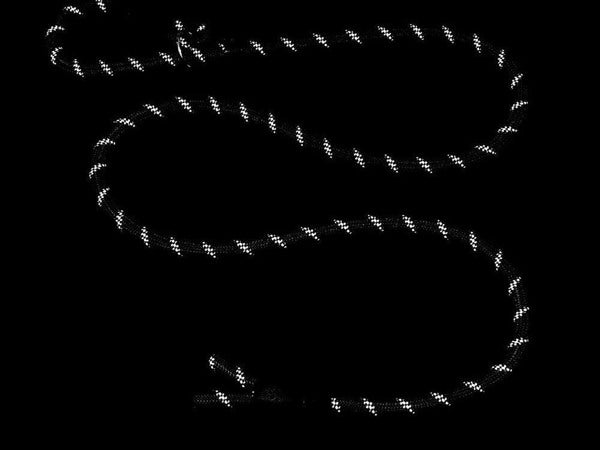 Tvirtas šunų dresūros pavadėlis