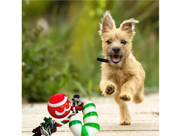 Kalėdinis šunų žaislų rinkinys (3 dalys)