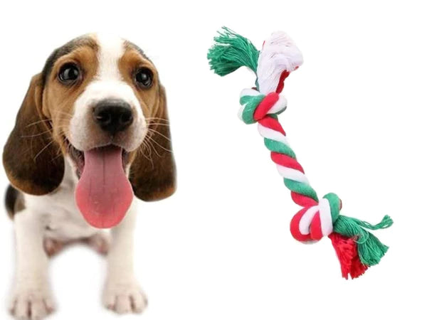 Kalėdinis šunų žaislų rinkinys (3 dalys)