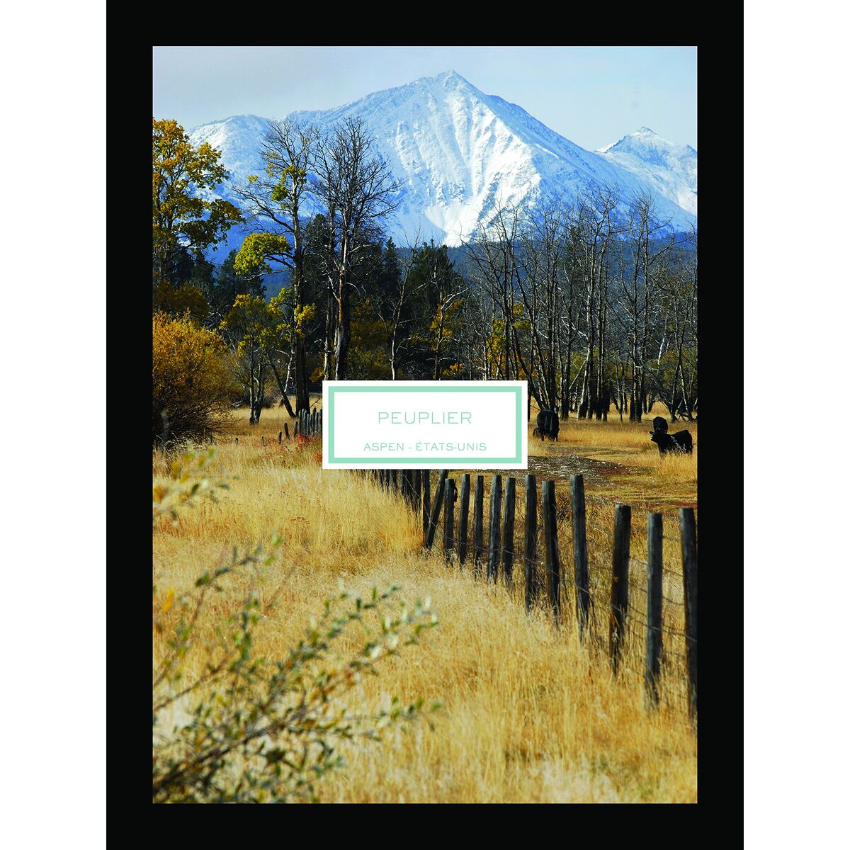 V3HAA91AE32F236F88B155E3F0BD5A60DFFR7423544P2