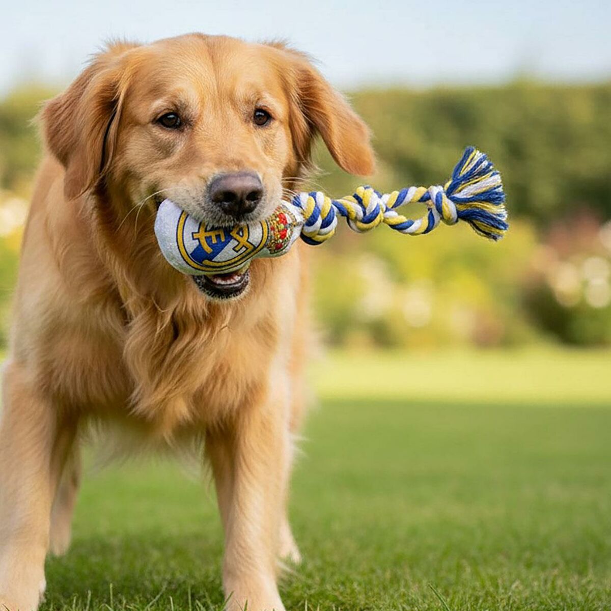 V3HC742CC70F3FB346A7D8123742FB714DCR7187330P5