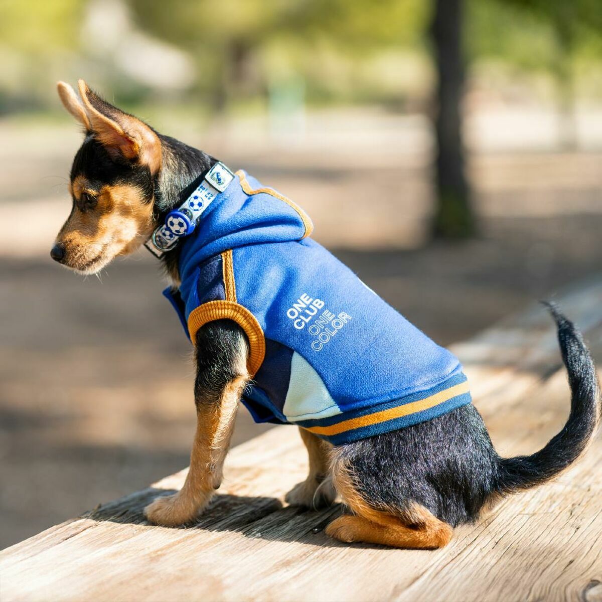 V4HCAAE2718E00BA29B07175B5164E276E3R7070436P5